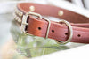 Brown Leather Studded Collar With Engraved Name Plate in Brass or Silver