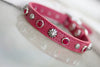 Red Leather Crystal Concho Dog Collar
