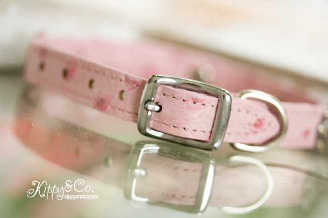 Leather Collar with Conchos and Crystals