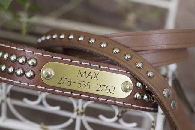 Brown Leather Studded Leash