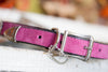Pink Suede Dog Collar With a Southwest Silver Vintage Concho