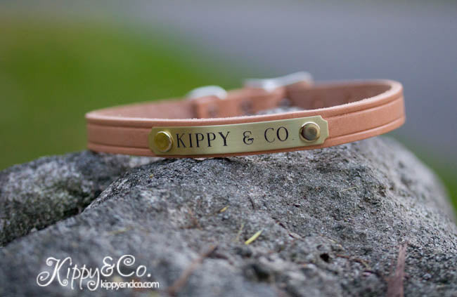 Small Dog Leather Collar