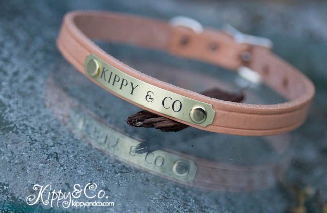 Small Dog Leather Collar