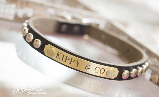 Small Studded leather collar with personalized name plate and silver studs