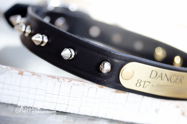 Leather Spike Dog Collar With Engraved Name Plate