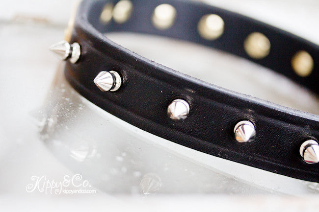 Leather Spike Dog Collar With Engraved Name Plate