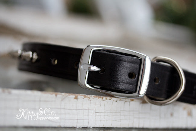Leather Spike Dog Collar With Engraved Name Plate