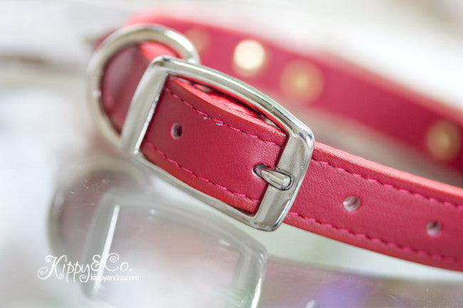 Leather Collar With Silver Spikes and Engraved Brass Name Plate