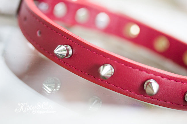 Leather Collar With Silver Spikes and Engraved Brass Name Plate