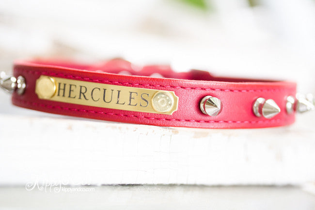 Leather Collar With Silver Spikes and Engraved Brass Name Plate