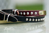 Small Dog 1/2 inch wide Leather Collar With Engraved Name Plate and Silver Cone Studs