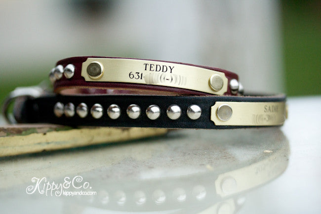 Small Dog 1/2 inch wide Leather Collar With Engraved Name Plate and Silver Cone Studs