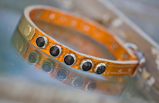 Biker Orange Collar with Black Swarovski Crystals and personalized name plate