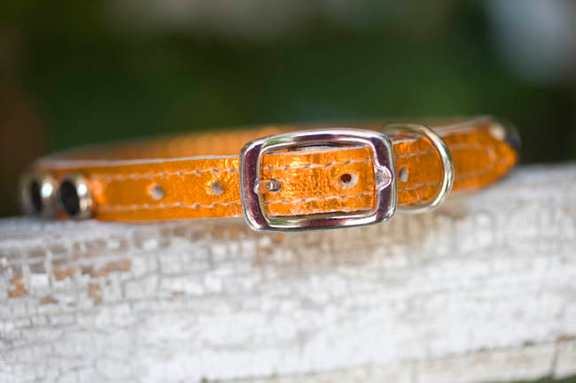 Biker Orange Collar with Black Swarovski Crystals and personalized name plate
