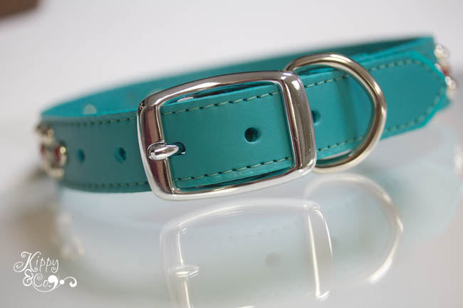 Turquoise Leather Dog Collar