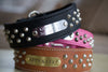 2 inch leather dog collar with silver cone studs and a brass or silver name plate