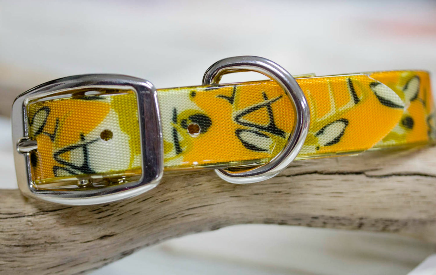 camouflage waterproof collar with personalized name plate