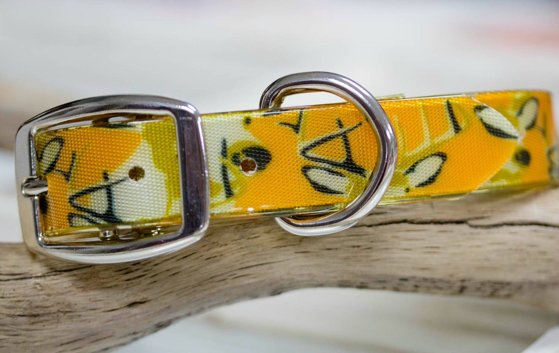 camouflage waterproof collar with personalized name plate