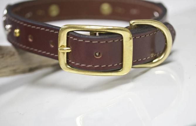 Texas Star Leather Collar with nickel and brass spots and personalized name plate