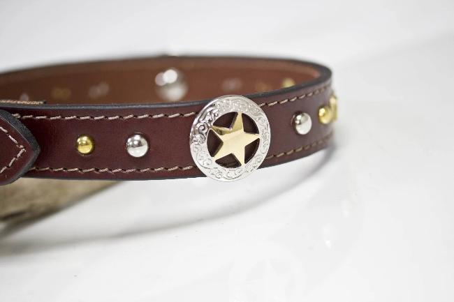 Texas Star Leather Collar with nickel and brass spots and personalized name plate
