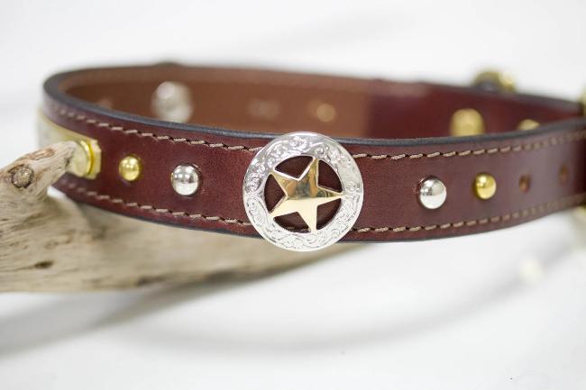 Texas Star Leather Collar with nickel and brass spots and personalized name plate