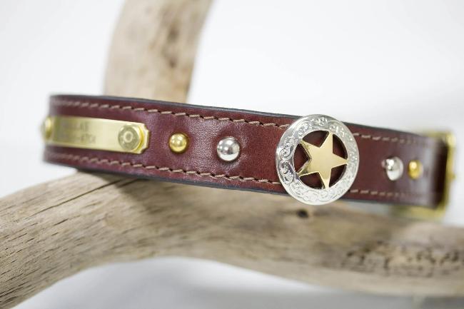 Texas Star Leather Collar with nickel and brass spots and personalized name plate