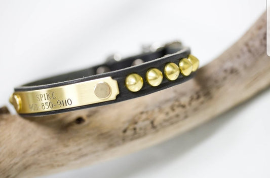 1/2 inch wide leather collar with a personalized engraved name plate and brass cone studs