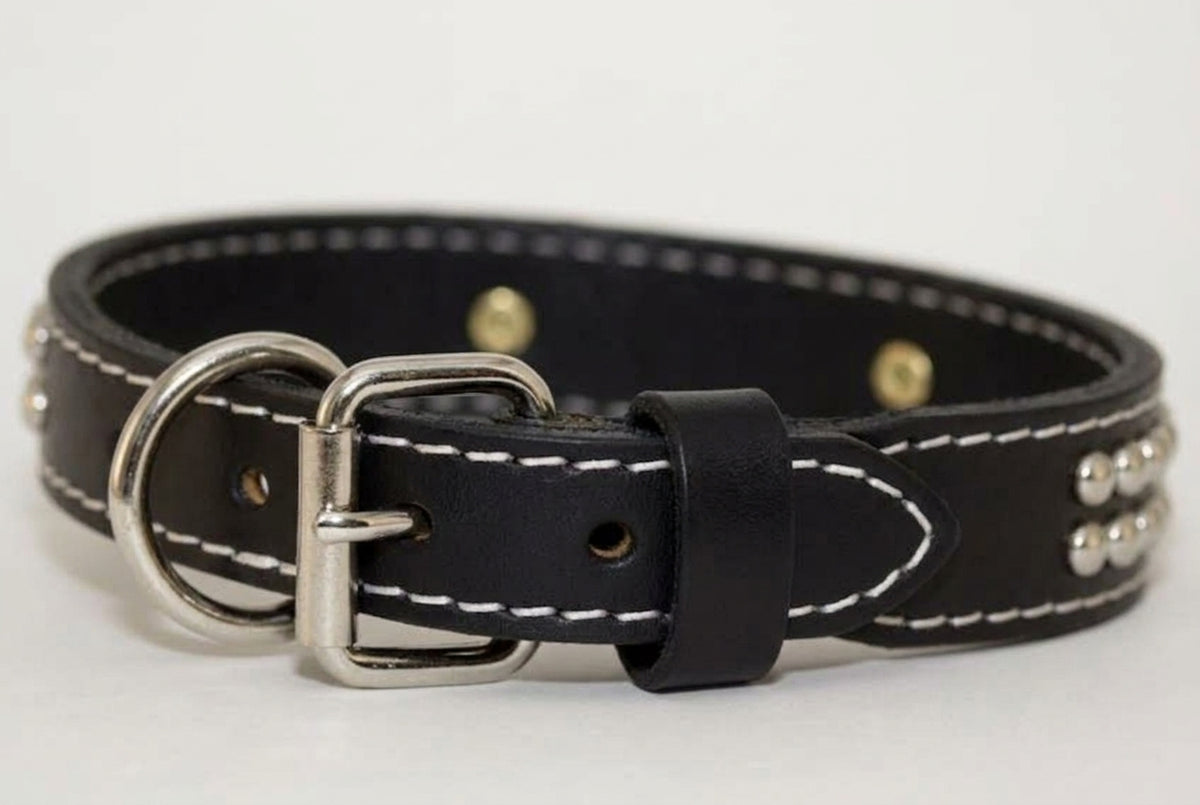 Heavy-duty roller buckle and D-ring hardware on black studded leather dog collar
