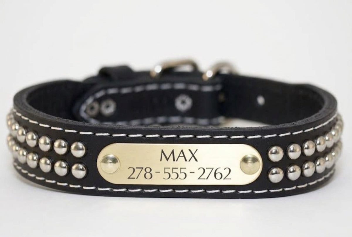 Black dome stud leather dog collar with engraved name plate, roller buckle, and solid D-ring