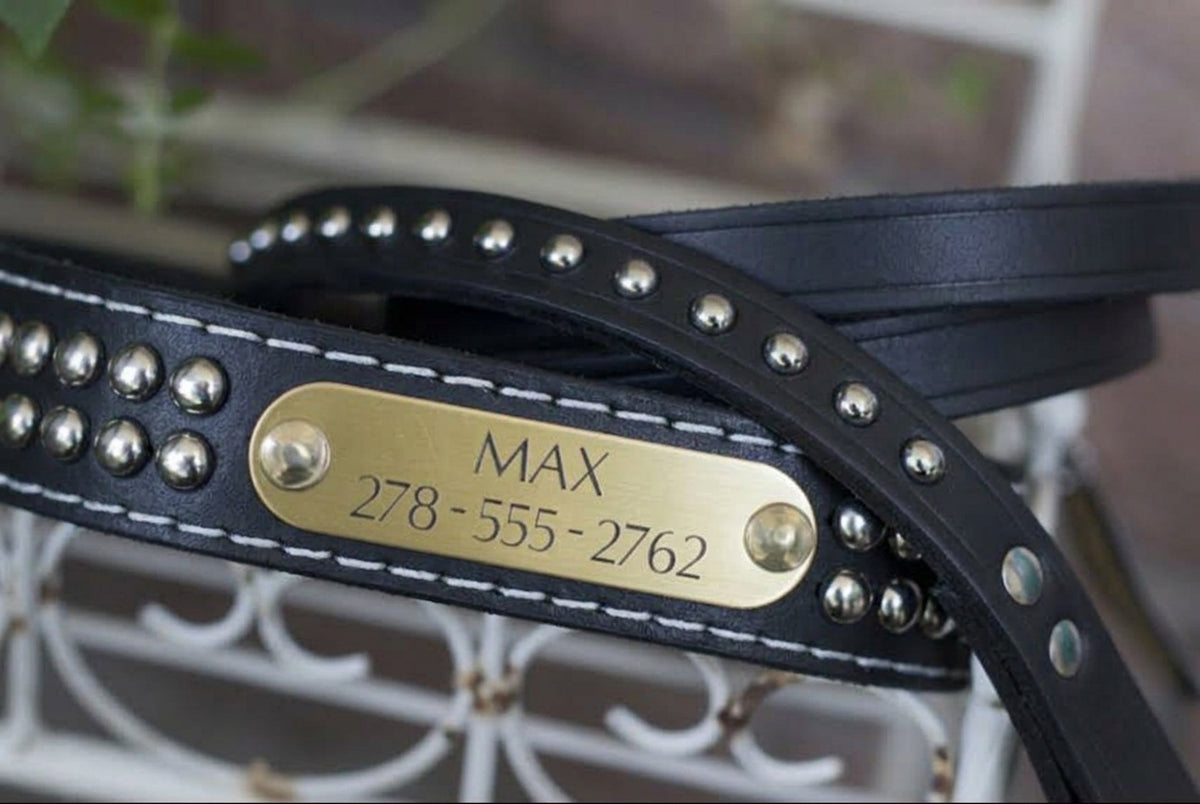 Close-up of engraved brass name plate on black double-ply dome stud leather dog collar with matching black leash