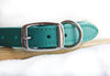 12 Gauge Dog Collar Personalized