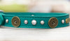 12 Gauge Dog Collar Personalized
