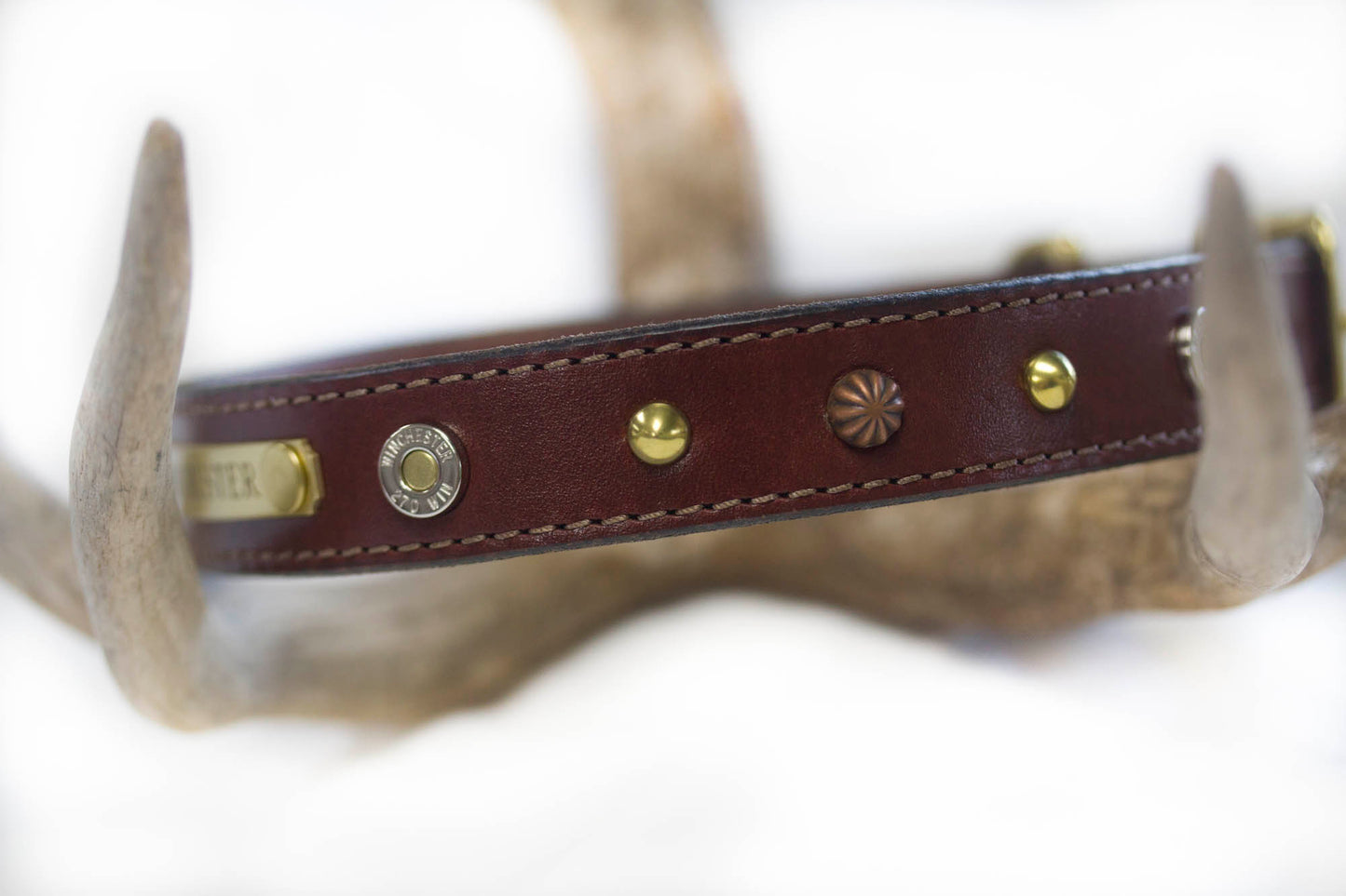 Winchester Leather Collar