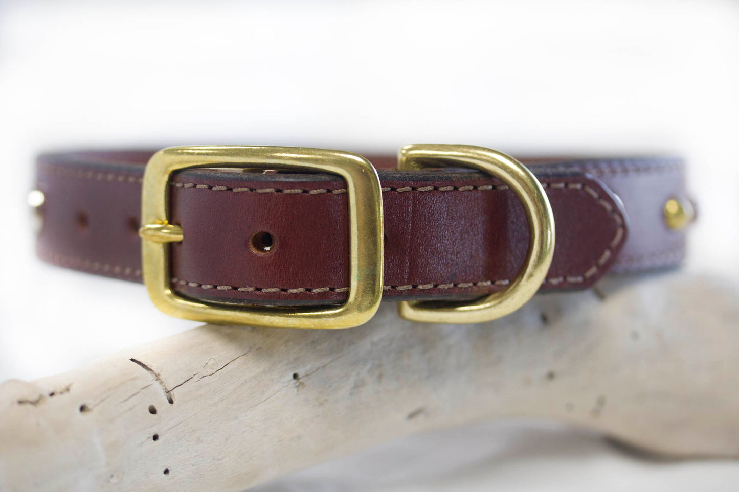 Winchester Leather Collar