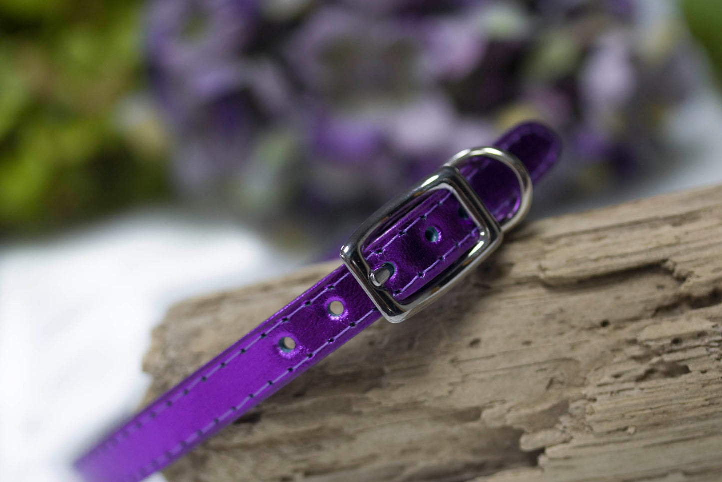 Tiny Dog Collar Personalized