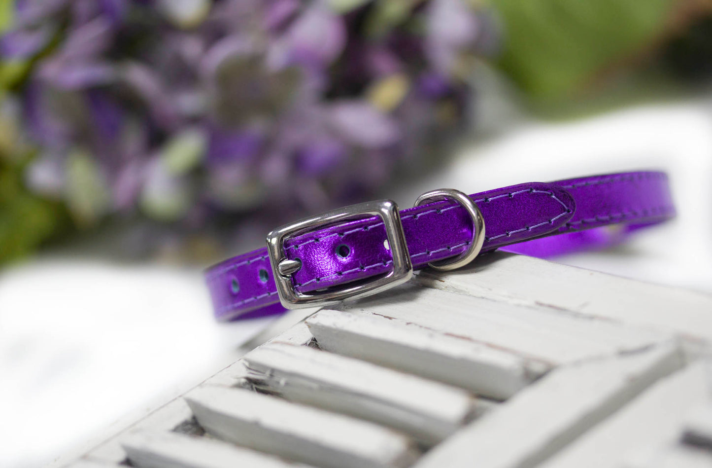 Tiny Dog Collar Personalized