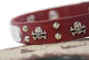 Sturgis Biker Dog Collar