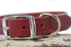 Sturgis Biker Dog Collar