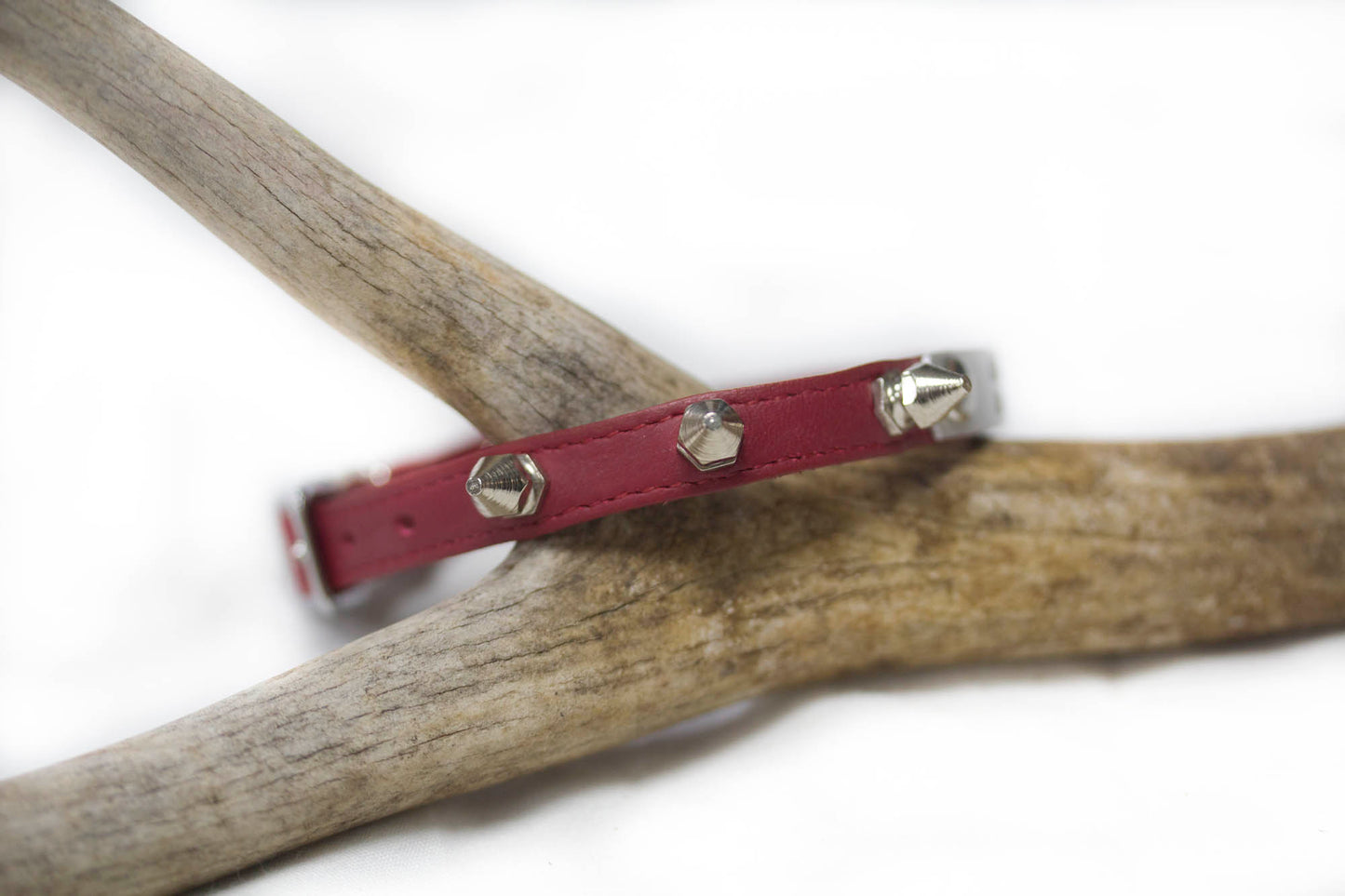 Tiny Spike Kitten Collar