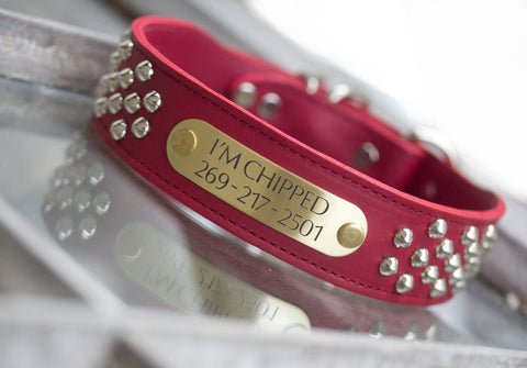 Leather Stud Collar Personalized