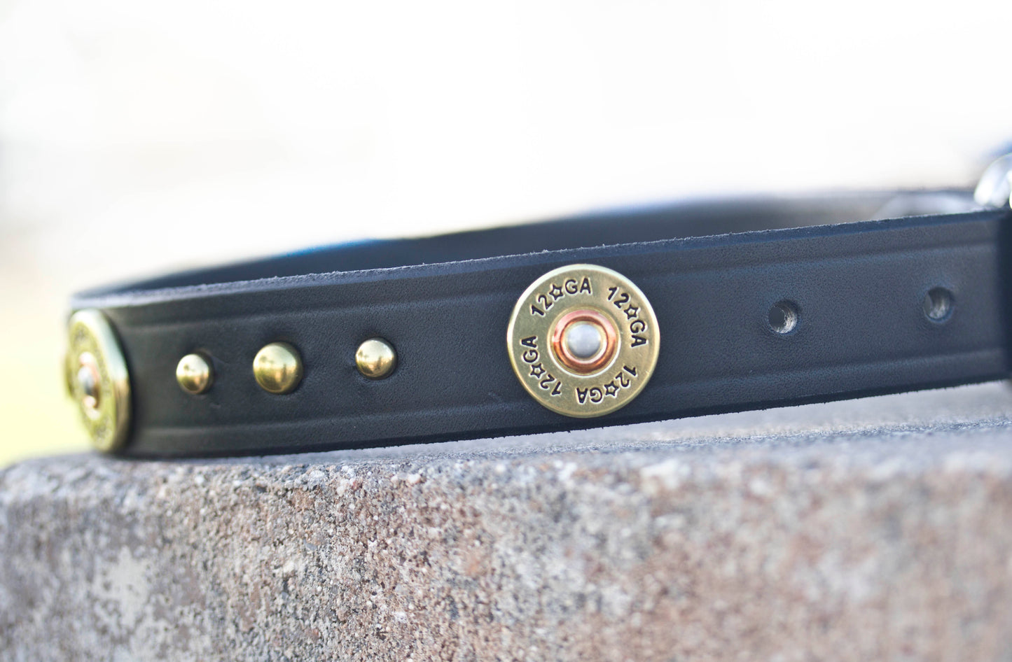 Dog Collar Shotgun 12 Gauge