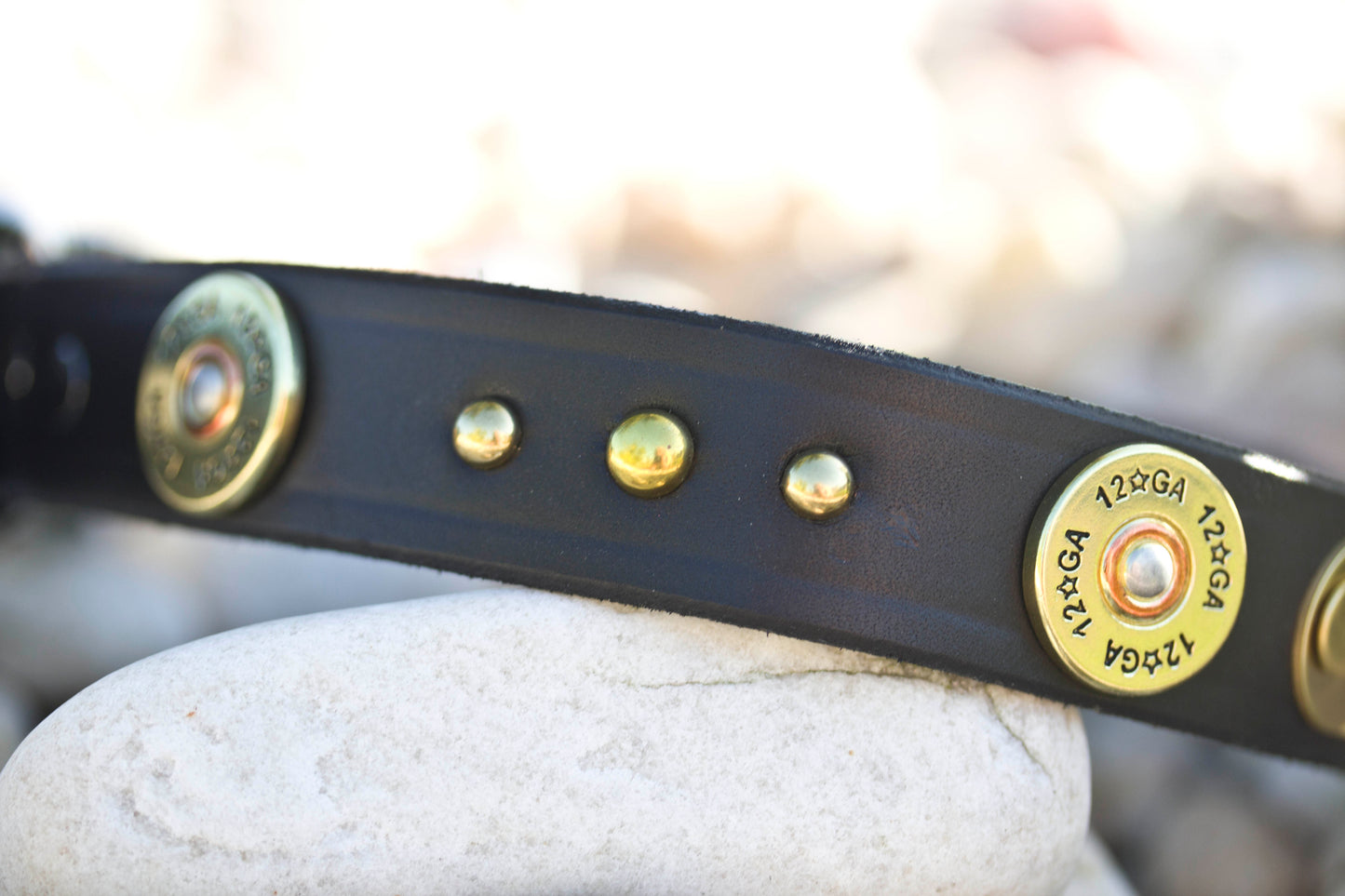 Dog Collar Shotgun 12 Gauge