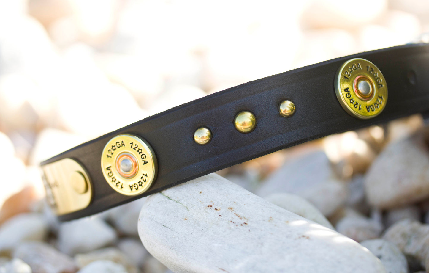Dog Collar Shotgun 12 Gauge