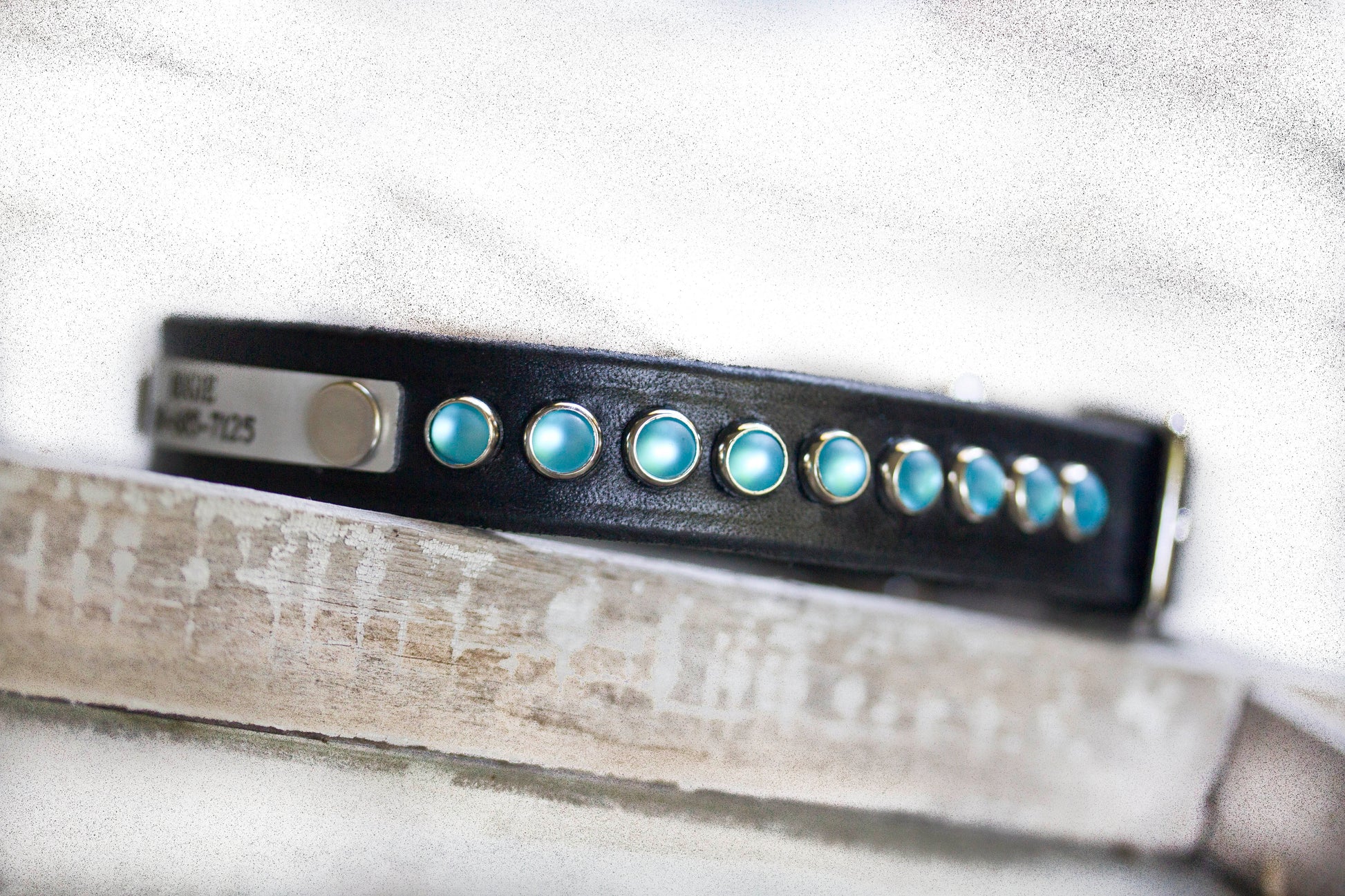 Close-up of black leather dog collar with blue cabochon studs and personalized engraved nameplate