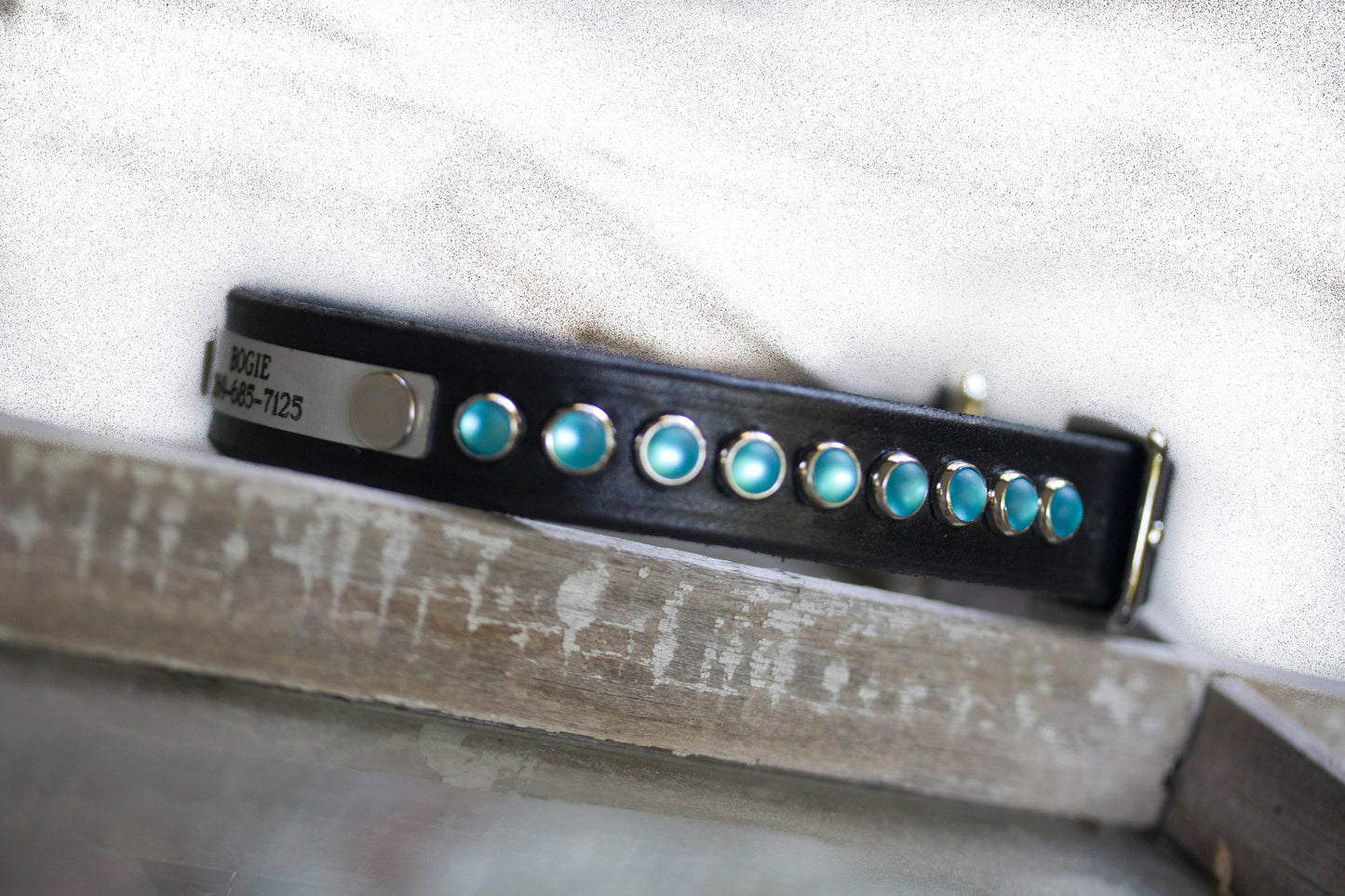 Black leather dog collar with blue cabochon studs and custom engraved nameplate