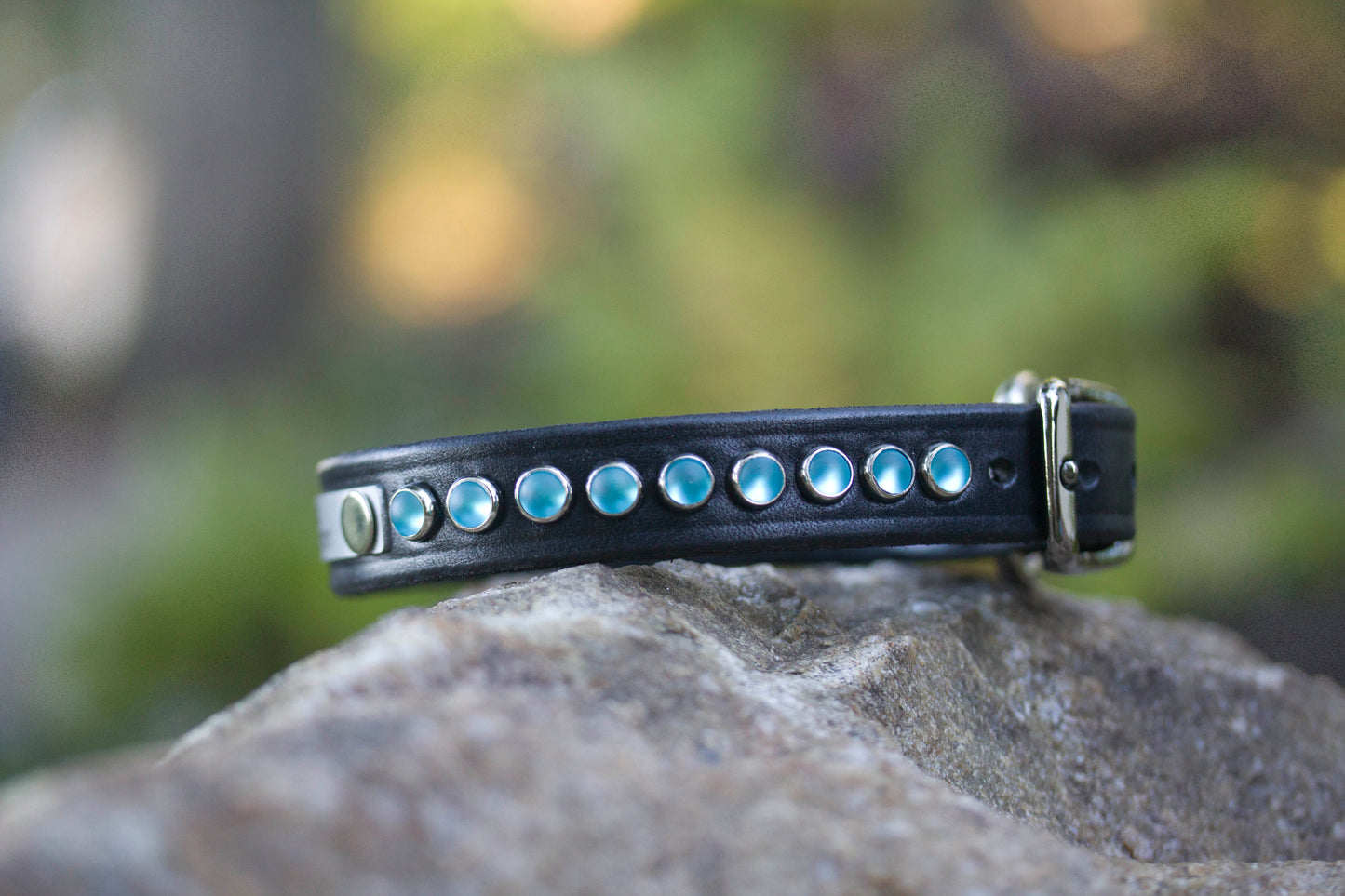 Handmade black latigo leather dog collar with blue cabochon studs and silver hardware