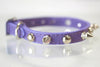 Stud Spike Collar