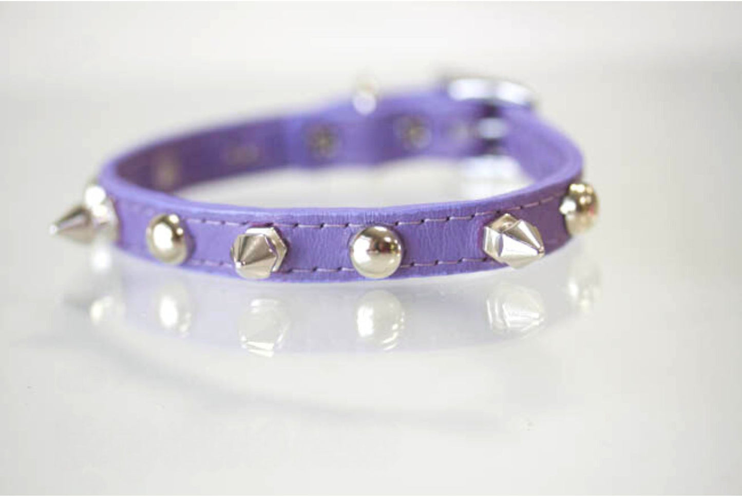 Stud Spike Collar
