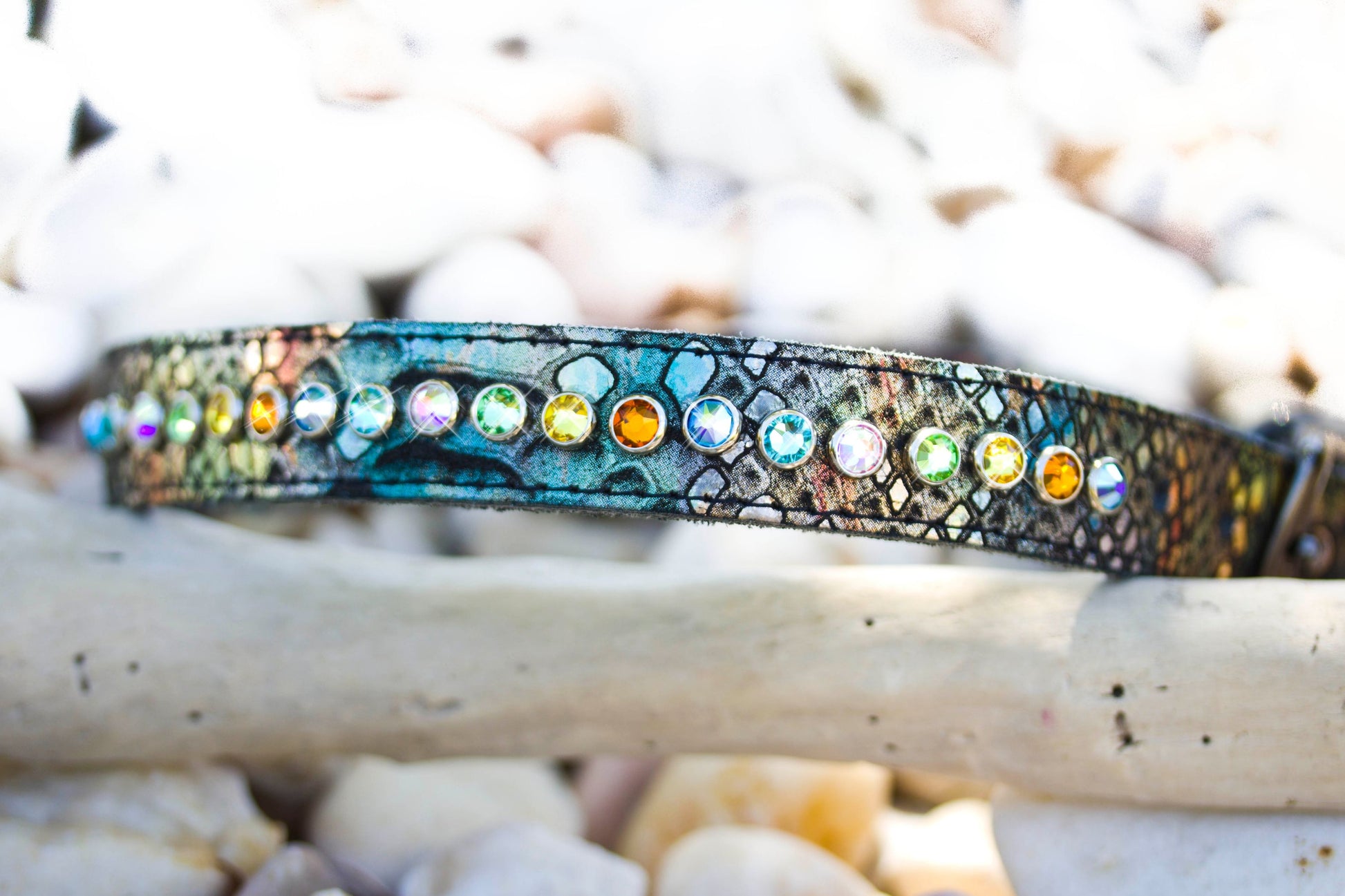 Native multi color leather and Swarovski crystal dog collar, rainbow crystals, black nickel hardware