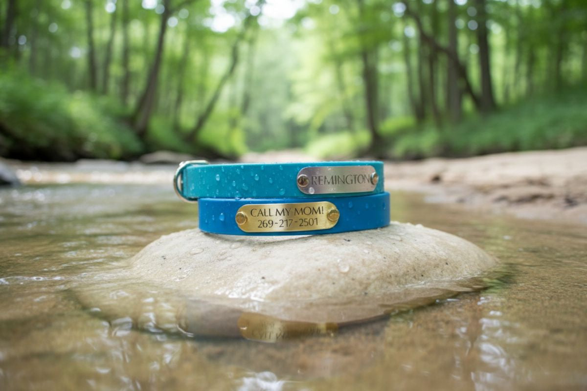 Two blue dog collars with engraved names on a rock in a forest stream.